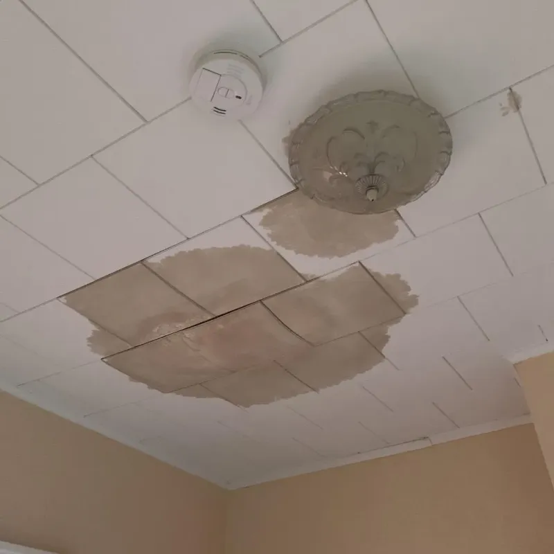Ceiling Water Damage Repair in Scott County, MS