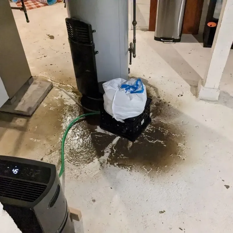Sewage Backup Cleanup Service in Scott County, MS